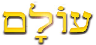 Olam